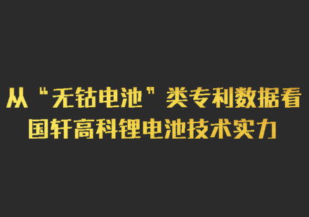 從“無鈷電池”類專利數(shù)據(jù)看國軒高科鋰電池技術(shù)實(shí)力