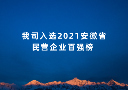 我司入選2021安徽省民營企業(yè)百強榜